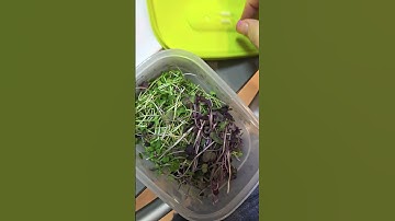 They are called FridgeSmart you need them in your kitchen.  https://my.tupperware.com/KirstinJones