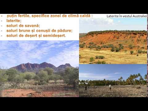 Australia și Oceania - Clima, vegetația, fauna și solurile - Geografia Continentelor
