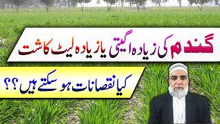 Harmful Aspects of too early or too late planting of wheat || Crop Reformer