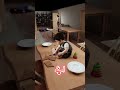 Japan Rent Case 3D by 360 PrimeX