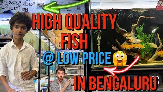 Just Fish  Aquarium Shop  In Bangalore  Review !!😍 In ಕನ್ನಡ 😍😍😍