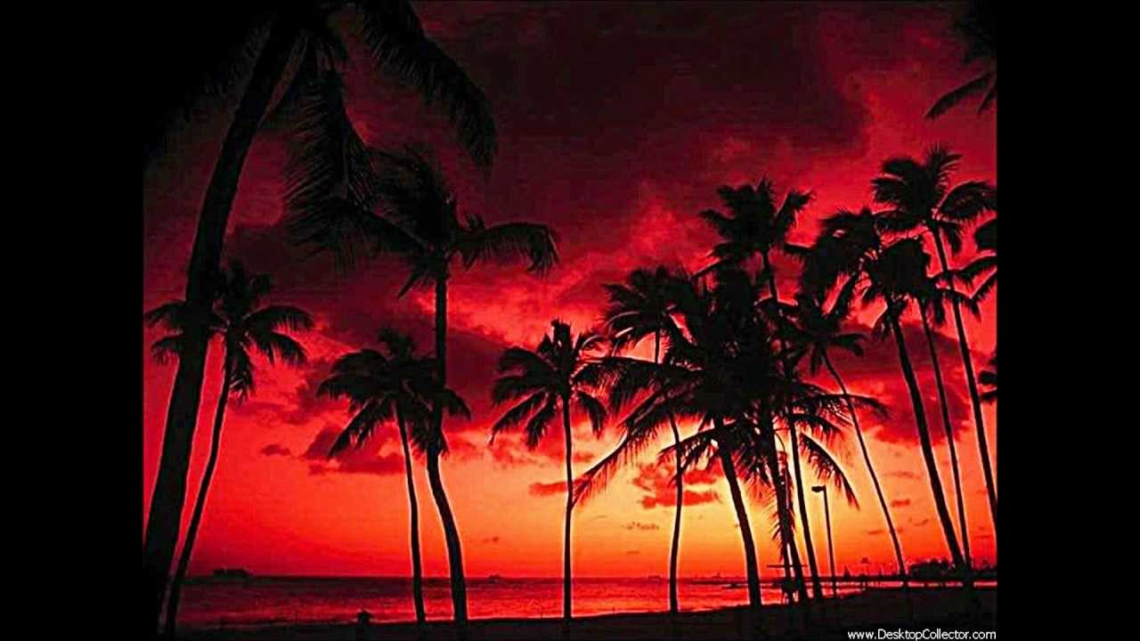 Wuck Forld - Las Coni (Original Mix)