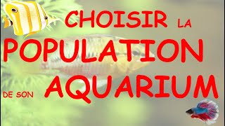 CHOISIR la POPULATION de son AQUARIUM