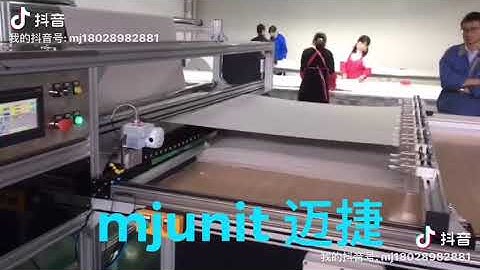 mjunit belt driven linear modules for curtain sheet cutting automation linear rail with long travel