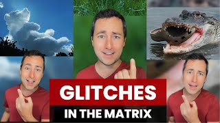 Glitches in the Matrix Compilation