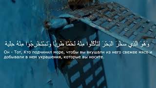 Muhammad Luhaidan - Surah An-Nahl