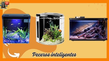 🥇Las 3 mejores PECERAS inteligentes Baratas y Mejor valoradas ALIEXPRESS⭐ Calidad-Precio✅2025✅