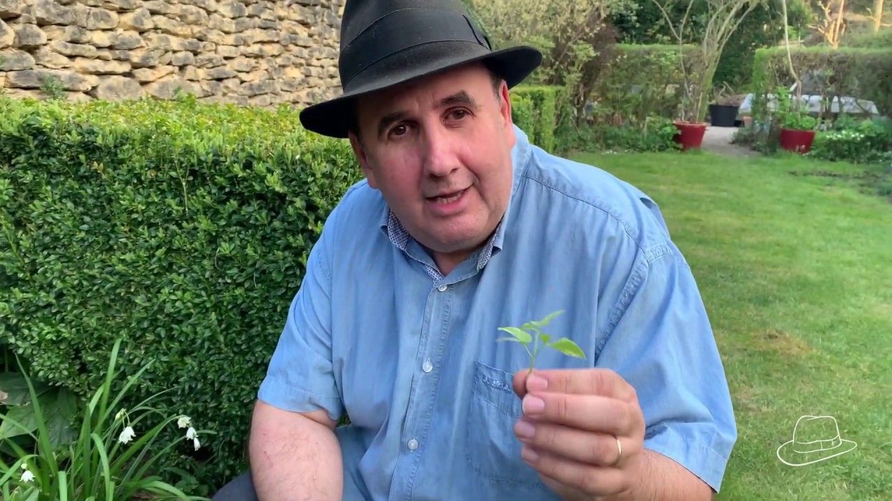 Tout se mange dans mon Jardin - le film