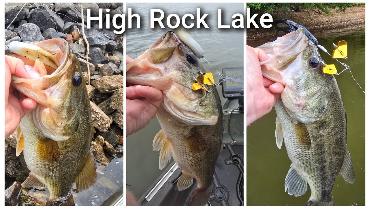 High Rock Lake big bass 20lb bag challenge