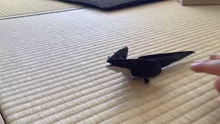 折り紙でエリマキトカゲをおりました！