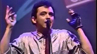 Looks Like Reign   Level 42 Cover   Love Games screenshot 5