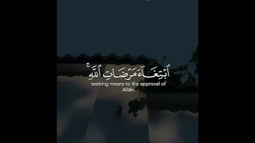 أجمل حالات واتس اب قرآن كريم بصوت عبدالله الخلف بدون حقوق | صوت خاشع يريح قلبك😴👌🏼