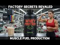 From Raw Ingredients to Muscle Protein: The Factory Process