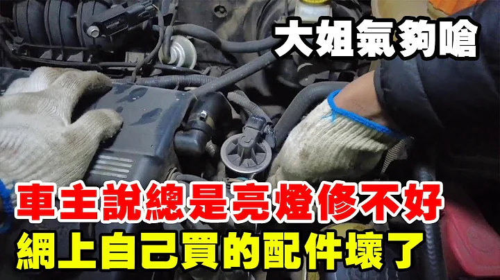 Car owners shop online for accessories & seek repairers; rescue upset elder sister. - 天天要聞
