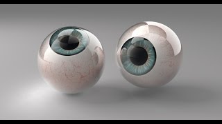 Строение глазного яблока Строение глазного яблока