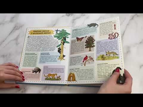 Животные. Интерактивный детский атлас с откидными разворотами
