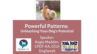 Powerful Patterns: Unleashing Your Dog’s Potential by YourDogsFriend 1,030 views 8 months ago 2 hours, 36 minutes