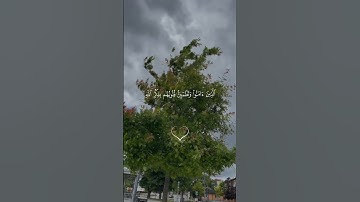 #quran #اكسبلور #تلاوة_خاشعة #راحة_نفسية #محمد_اللحيدان