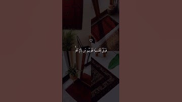 سورة الزمر 💙#حالات_دينية #حالات_واتس #حالات_واتساب #قرآن #حالات