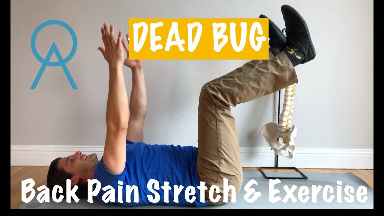 Dead Bug Exercise and Core Workout by Optimal Alignment Health YouTube