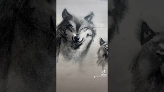 Charcoal wolf drawing #charcoal #drawing