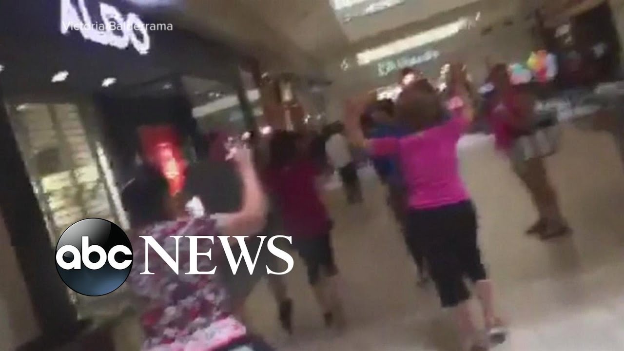 El Paso, Gilroy shootings spark domestic terror concerns l ABC News