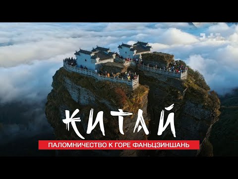 Video: Kam Z Avtom V Tujino