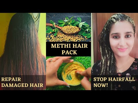 Fenugreek  Methi  Hair Mask Stop hairfall now Repair dry and damaged hair Falguni  39 s Fab Life