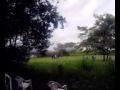 paintball en el morichal yopal papa