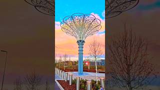 Barnsley Town Centre’s recent highlight is three illuminated Yorkshire Rose sculptures.