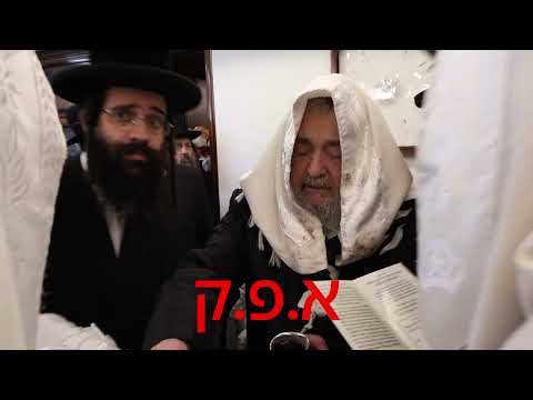 ברית בבית צדיק הדור ר' יעקב מאיר שכטר שליט"א - נתכבד בסנדקאות האדמו"ר מפינסק קרלין שליט"א