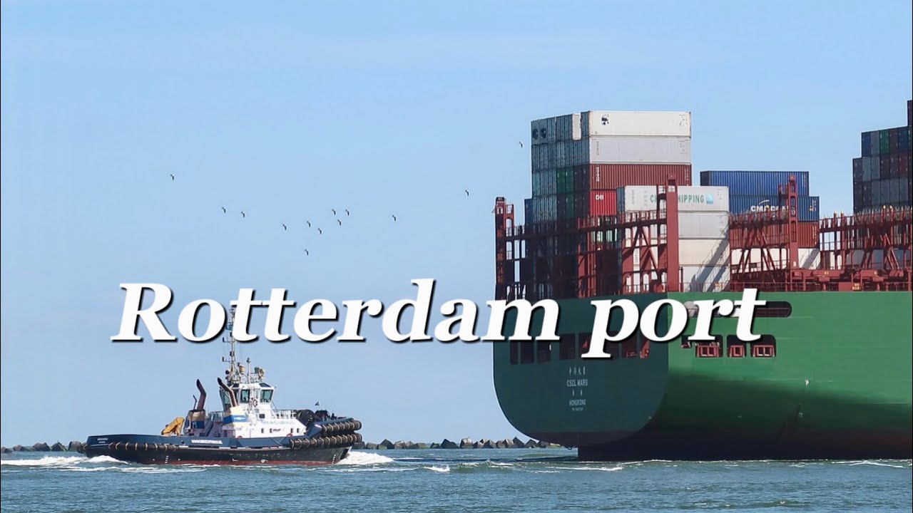 Rotterdam Haven, Rotterdam Port, Pearl trip