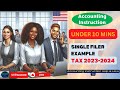 Single filer example tax 20232024