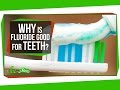 Why Is Fluoride Good for Teeth? Mp3 Song