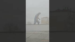 Gabara (Godzilla monster) in real life #shorts #godzilla