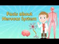 Fascinating Facts About the Nervous System and Its Functions