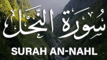 Surah An Nahl ماهر المعيقلي حالات واتس سورة النحل