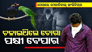 Forest officials arrest youth over selling exotic birds in Rourkela