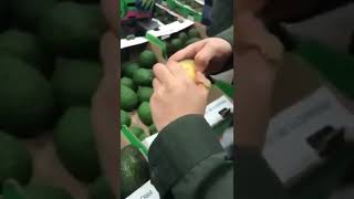 Drug inside the fruit: colombian policemen notice a strange avocado, open it and find cocaine in it