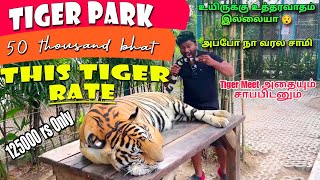 This Tiger For Sale | Tiger Park Pattaya  | Thailand Famous | Eating Challenge Boys