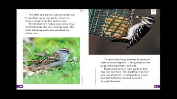 7 HMH MOD 9 WEEK 2 DAY 7 STUDENT SLIDE - Google Slides