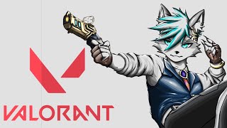 【VALORANT】リハビリヴァロ
