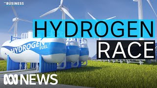 The global race for cash for green hydrogen projects | The Business | ABC News