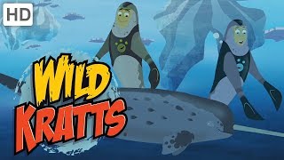 Wild Kratts  Horn and Tusk Power!