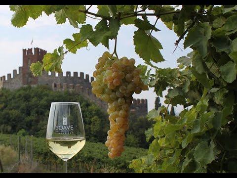 Video: Varför Ska Du Uppleva Soave White Wine Idag