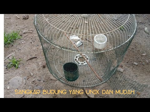  Cara Membuat Sangkar Burung  Yang Mudah YouTube