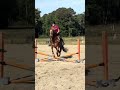 AHHHH!! pony swap tdy!!!! Love honey!!!! #summer #horse #equestrianjourney #equestrian #horsegirl