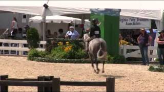 Video of TIFFANY BLUE ridden by PARKER WRIGHT from ShowNet!