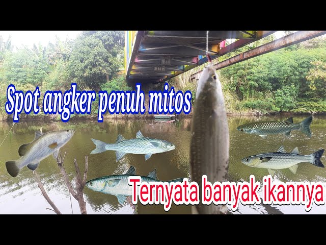 Nekad mancing sendirian dibawah jembatan yang terkenal angker ☆ Spot jembatan gereja ketiwon tegal class=