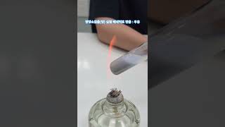 영양소검출(당) 실험 베네딕트 반응 : 우유